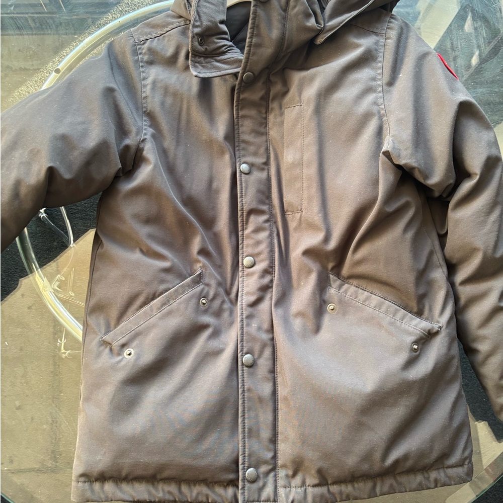 Black Canada Goose